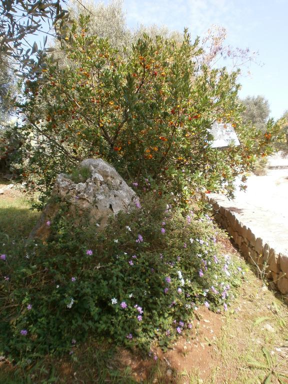 Trullo Villa Giuliana Con Giardino Posizione Panoramica Free Wifi أوستوني المظهر الخارجي الصورة