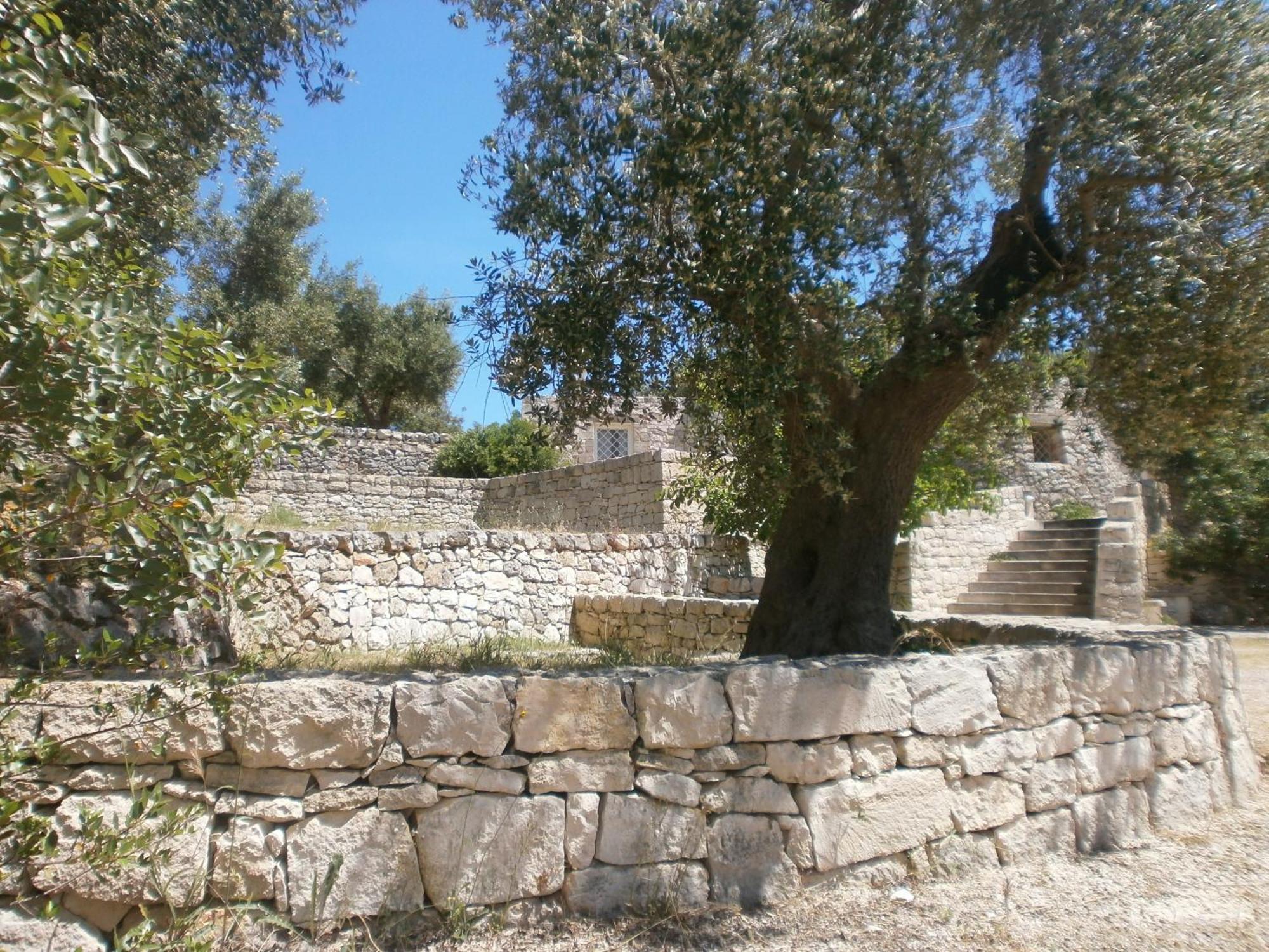 Trullo Villa Giuliana Con Giardino Posizione Panoramica Free Wifi أوستوني المظهر الخارجي الصورة