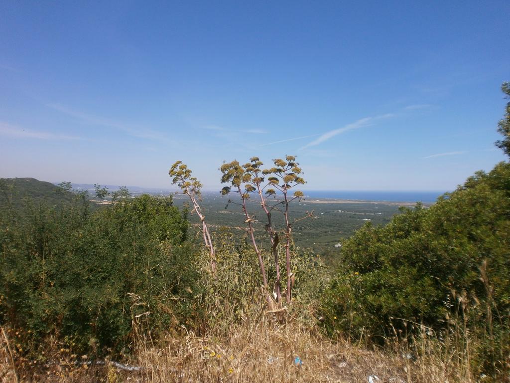 Trullo Villa Giuliana Con Giardino Posizione Panoramica Free Wifi أوستوني الغرفة الصورة