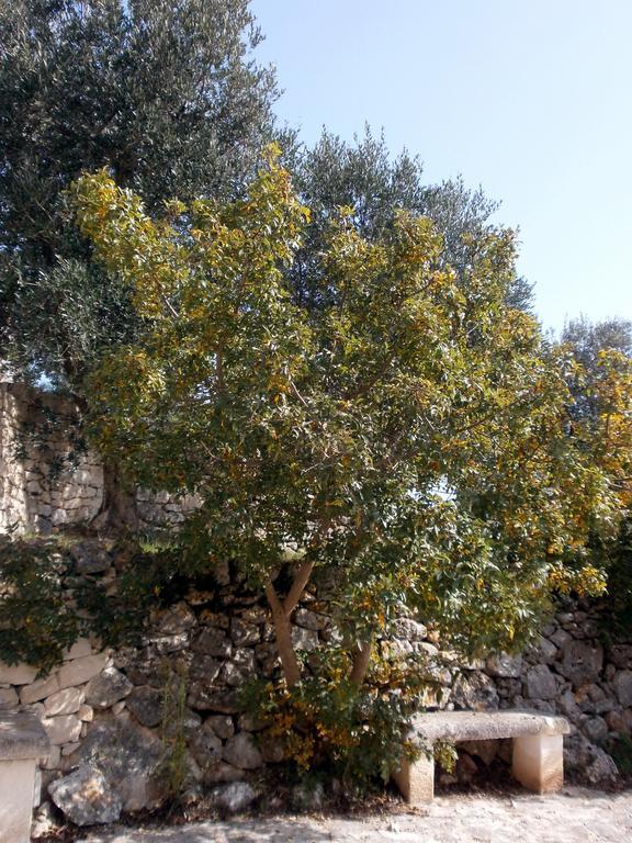 Trullo Villa Giuliana Con Giardino Posizione Panoramica Free Wifi أوستوني الغرفة الصورة